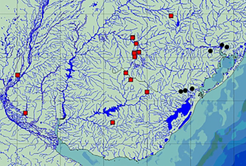 Geographic distribution of Otocinclus arnoldi (red squares) and O. flexilis (black dots). (modified map from publication)